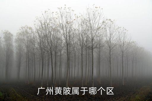 廣州黃陂屬于哪個區