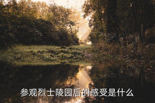 參觀烈士陵園后的感受是什么