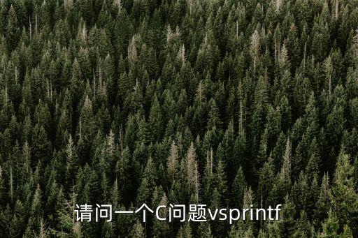 請問一個C問題vsprintf