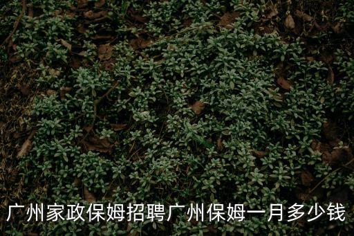 廣州家政保姆招聘廣州保姆一月多少錢