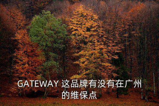 百達翡麗廣州維修保養(yǎng)，GATEWAY 這品牌有沒有在廣州的維保點