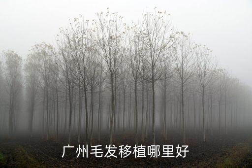 廣州毛發移植哪里好