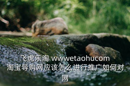 飛虎樂淘 wwwetaohucom 淘寶導購網(wǎng)應該怎么進行推廣如何對網(wǎng)