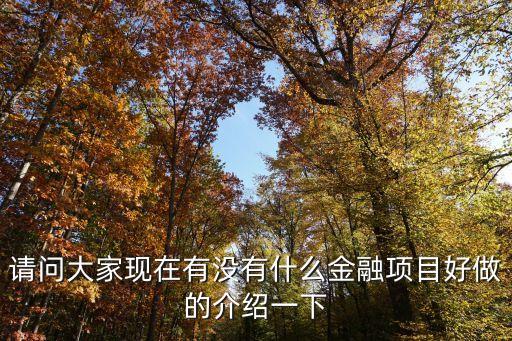 請問大家現(xiàn)在有沒有什么金融項目好做的介紹一下
