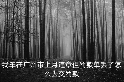 我車在廣州市上月違章但罰款單丟了怎么去交罰款