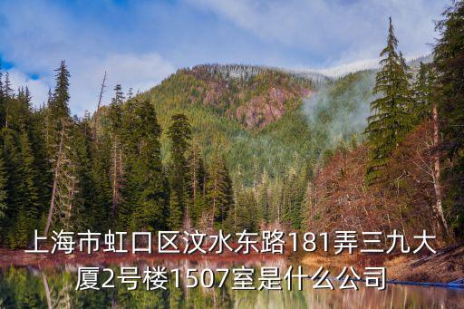 上海市市容保障有限公司，上海市虹口區(qū)汶水東路181弄三九大廈2號樓1507室是什么公司