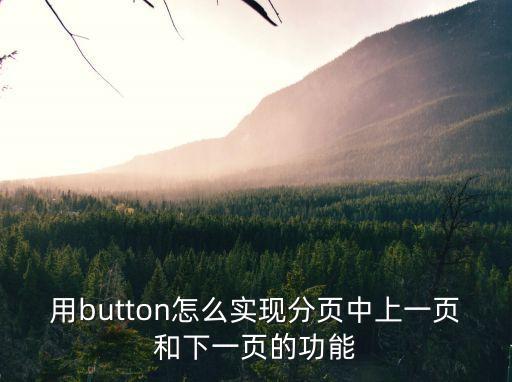 上一頁，如何能讓網(wǎng)頁中的 上一頁 和 下一頁 能自動實(shí)現(xiàn)功能呢有沒有什么語