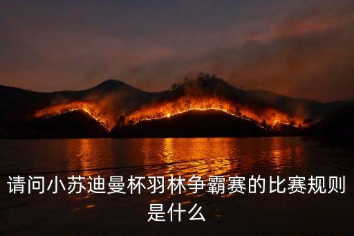 廣州羽毛球總決賽比賽規(guī)則，總決賽的賽制是怎樣的