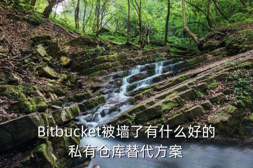 Bitbucket被墻了有什么好的私有倉庫替代方案
