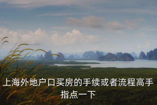 上海外地戶口買房的手續或者流程高手指點一下
