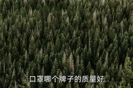 口罩哪個牌子的質量好