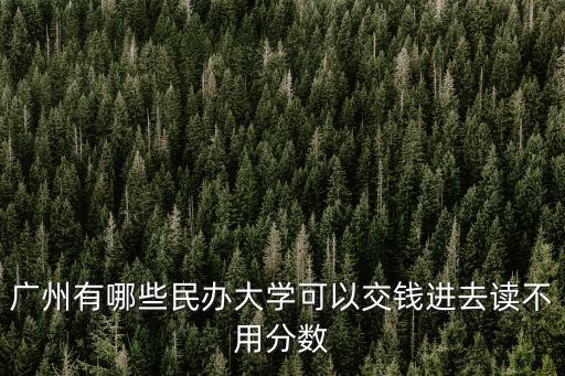 廣州有哪些民辦大學可以交錢進去讀不用分數