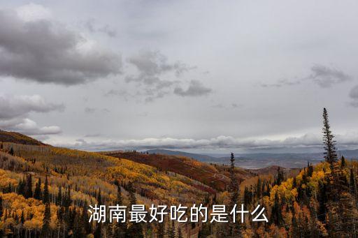 廣州鐵板秋菊，湖南湘鄉有什么好吃的
