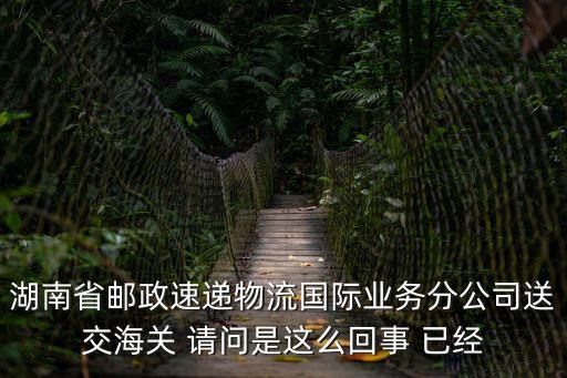 廣州海關打掉15億，中國最大賭徒贏了15億是那年發生的事有知道的朋友沒