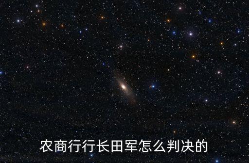 廣州農商銀行董事長判刑，農商行行長田軍怎么判決的