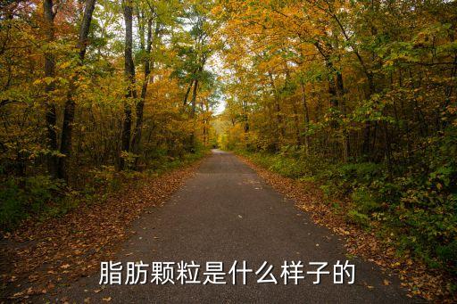 脂肪顆粒是什么樣子的