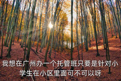我想在廣州辦一個托管班只要是針對小學(xué)生在小區(qū)里面可不可以呀