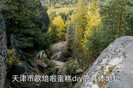 歐培拉蛋糕，天津市歐培啦蛋糕diy的具體地址