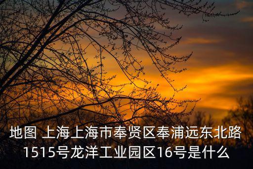 地圖 上海上海市奉賢區奉浦遠東北路1515號龍洋工業園區16號是什么