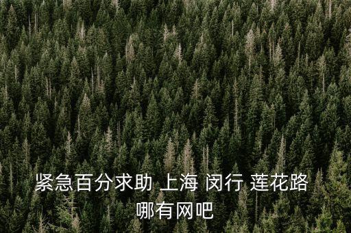 上海市閔行區(qū)網(wǎng)魚網(wǎng)咖古美店，請問 離上海閔行區(qū)古美路愛倫海賓館最近的網(wǎng)吧在哪里