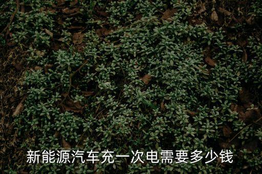 新能源汽車充一次電需要多少錢