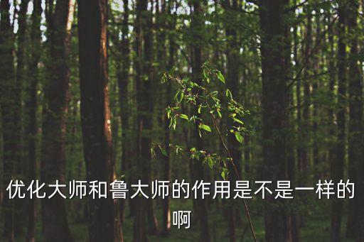 優化大師和魯大師的作用是不是一樣的啊