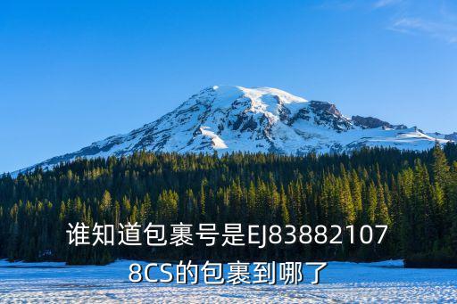 誰知道包裹號是EJ838821078CS的包裹到哪了