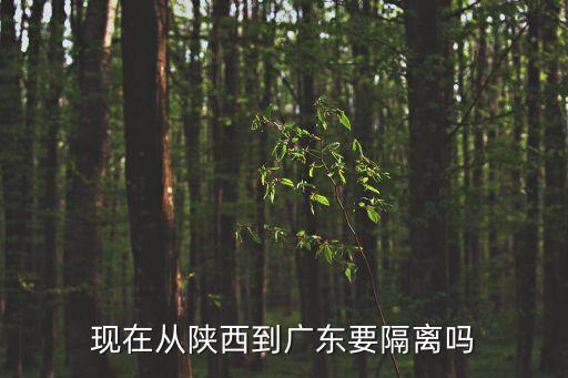 現在從西安到廣州需要隔離嗎，4月9日西安到廣州機場需要隔離不