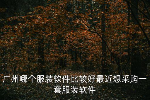 廣州哪個服裝軟件比較好最近想采購一套服裝軟件