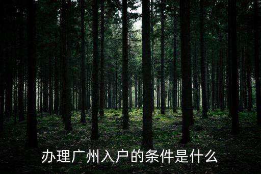 辦理廣州入戶的條件是什么