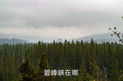 碧峰峽在哪