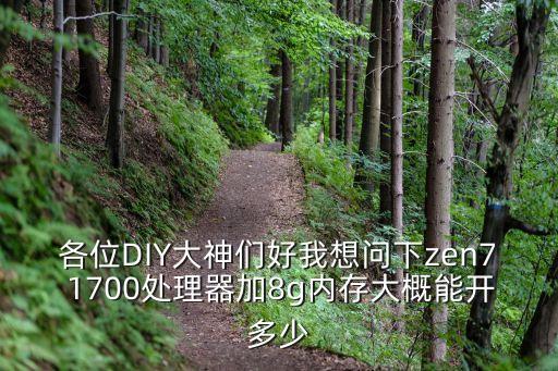 各位DIY大神們好我想問下zen7 1700處理器加8g內存大概能開多少