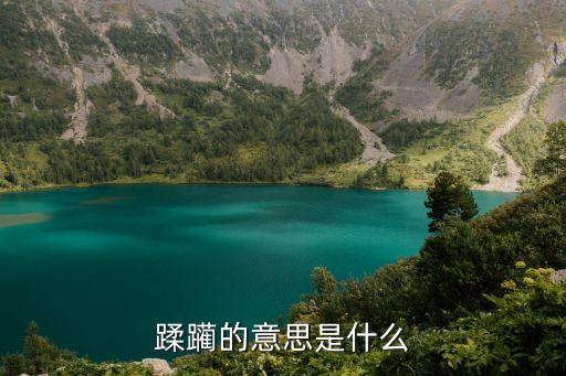 蹂躪的意思是什么