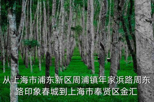 從上海市浦東新區周浦鎮年家浜路周東路印象春城到上海市奉賢區金匯