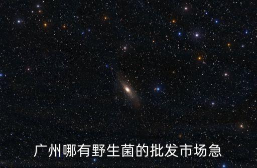 廣州哪有野生菌的批發(fā)市場(chǎng)急