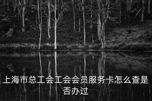 上海市總工會工會會員服務卡怎么查是否辦過