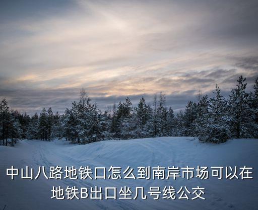 中山八路地鐵口怎么到南岸市場可以在地鐵B出口坐幾號線公交