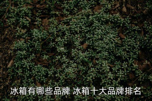 冰箱有哪些品牌 冰箱十大品牌排名