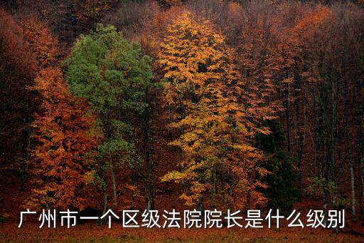 廣州市一個區級法院院長是什么級別