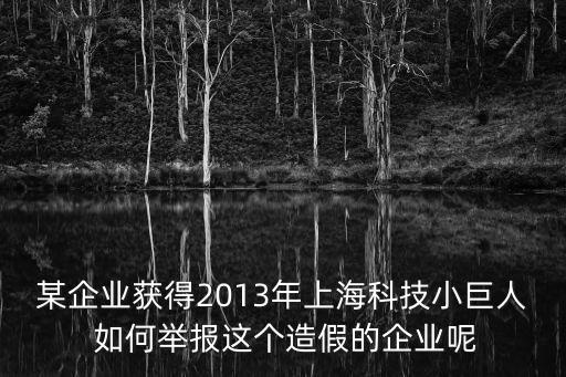 某企業(yè)獲得2013年上海科技小巨人 如何舉報這個造假的企業(yè)呢
