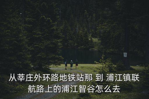 從莘莊外環路地鐵站那 到 浦江鎮聯航路上的浦江智谷怎么去