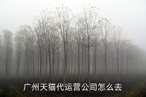 廣州天貓代運營公司怎么去