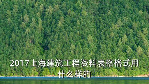 上海市鋼構(gòu)協(xié)會(huì)表格，鋼結(jié)構(gòu)質(zhì)量檢查記錄的上海表格是什么樣的