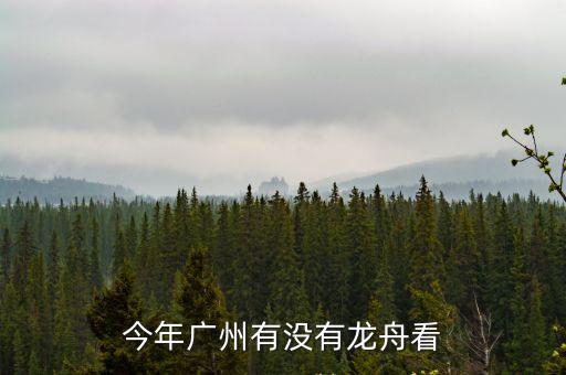 今年廣州有沒有龍舟看
