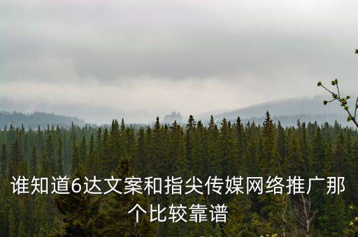 誰知道6達文案和指尖傳媒網絡推廣那個比較靠譜