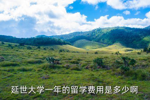 延世大學一年的留學費用是多少啊