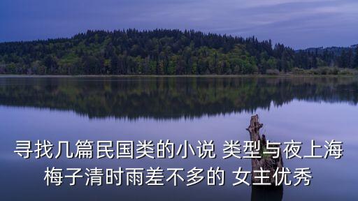 尋找幾篇民國類的小說 類型與夜上海梅子清時雨差不多的 女主優秀