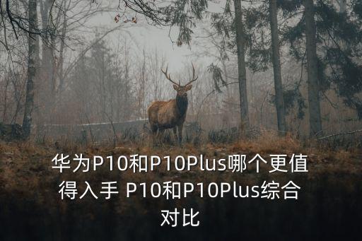華為P10和P10Plus哪個更值得入手 P10和P10Plus綜合對比