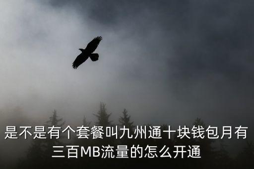是不是有個套餐叫九州通十塊錢包月有三百MB流量的怎么開通