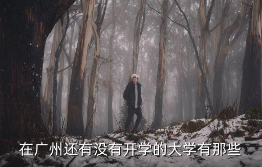 在廣州還有沒有開學的大學有那些